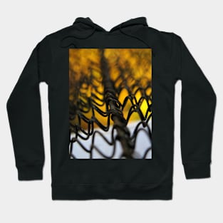 Feel the Burn Hoodie